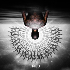 Tribu (Original Mix)