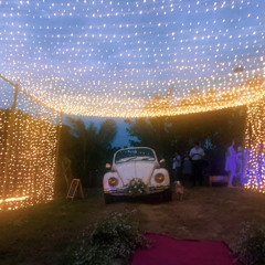 Lihim (Orange and Lemons Cover)