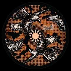 Premiere: B2 - Roma Khropko - To The End (Bosko Balos Pirate Mix) [SLS004]