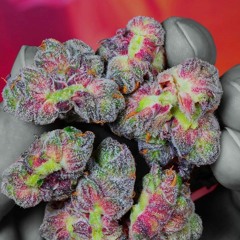 Auti X Hinnge X Young Chow - Cypher