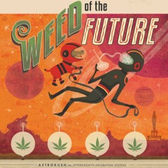 Maj Ču - WEED OF THE FUTURE