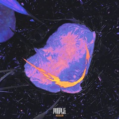 Skrillex, Hamdi, TAICHU & OFFAIAH - Push (PVRPLE. Recolor)