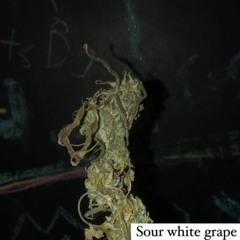 Sour White Grape