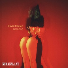 NML003 // David Roelen