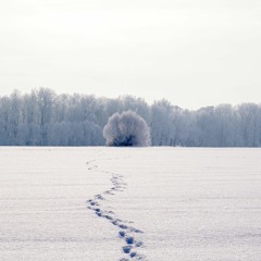 Tus Huellas En La Nieve  (Kay-Honor featuring Ashesndreams)