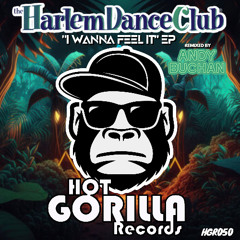 Harlem Dance Club - I Wanna Feel It (Andy Buchan Remix)
