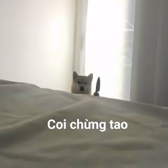 Em nào có tội Qtann remix