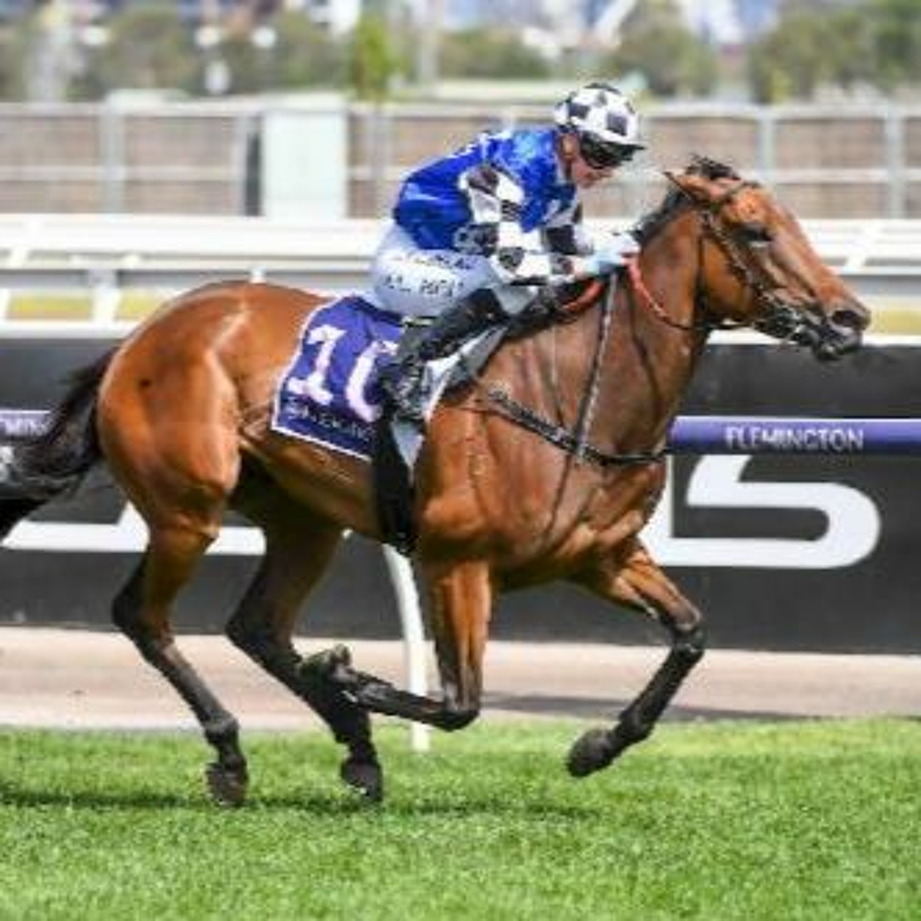 Super Saturday Punting Preview