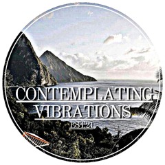 Contemplating Vibrations [#06] Paranoid SouL