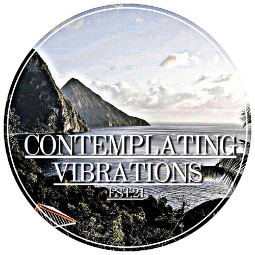 Contemplating Vibrations [#06] Paranoid SouL