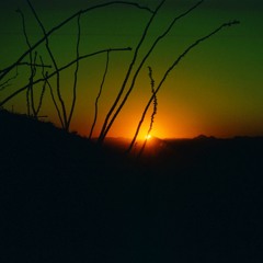 Eternal Life 2005