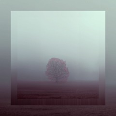 Feeling Like Shit Doesn't Feel Good Anymore