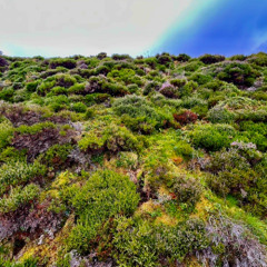 (cover) Come Undone - Duran Duran