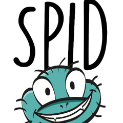 Spidway MASTER