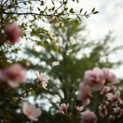 Can You See The Wind