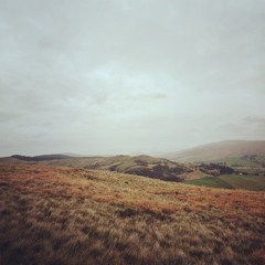 Autumn's compassionate indifference