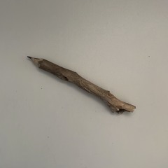 bản demo chưa hoàn thiện