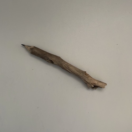 bản demo chưa hoàn thiện