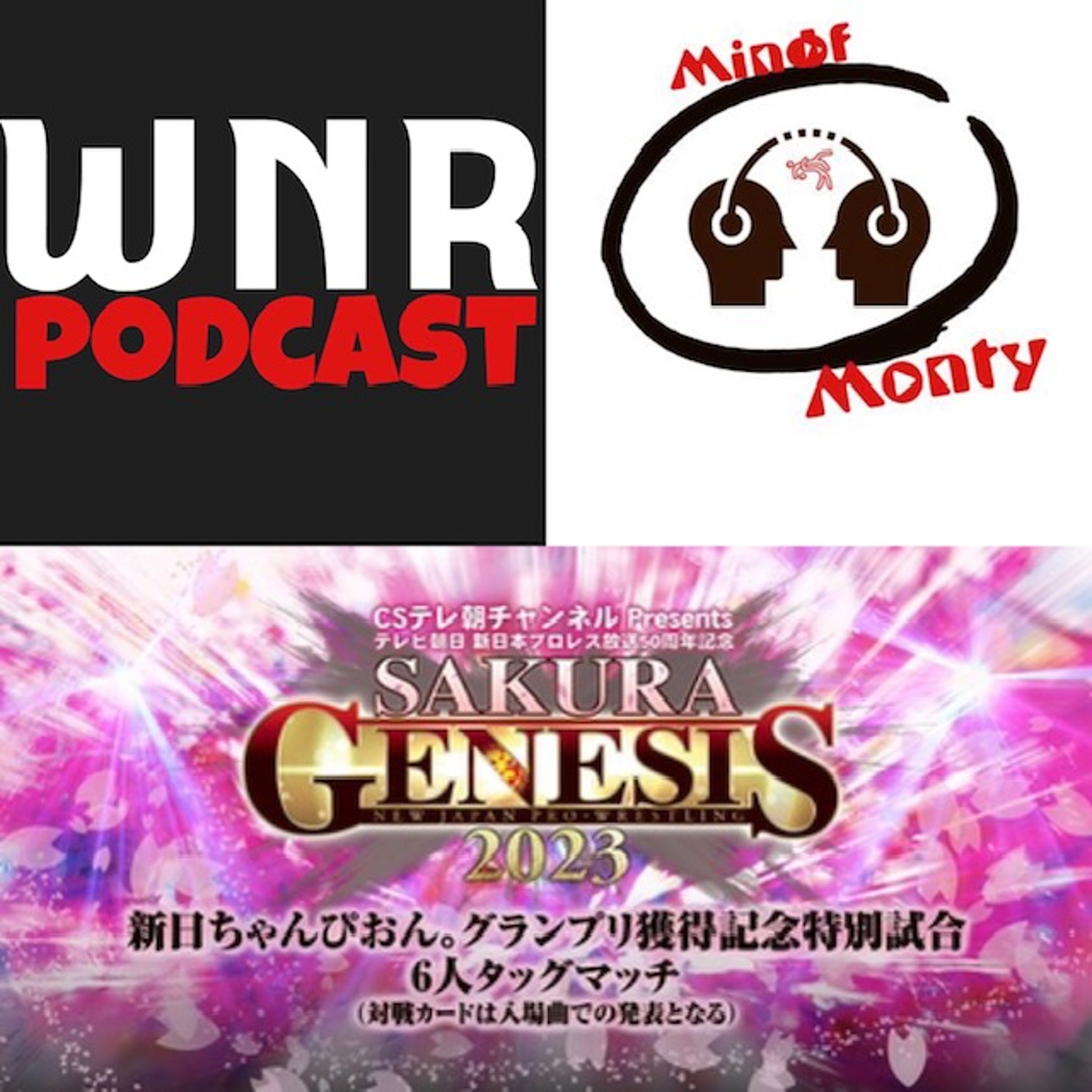 the WNR podcast