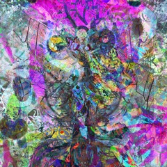 implications