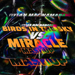 Birds In The Sky(Protein Bor) Vs Miracle (Dylan Mac Namara Mashup)