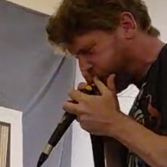 Performer avec les oiseaux (live Mexico Art fair)