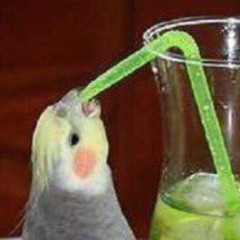 Discord VA Allies - my side of the story