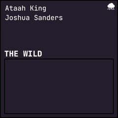 The Wild [produced by Joshua Sanders]