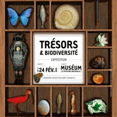 Trésors & biodiversité - 3-1 - Vers une sixième extinction ? (Partie 3 à écouter au Muséum)