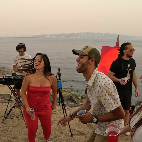 Colman Beach, Seattle