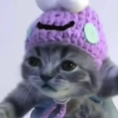night core/sped up {} go kitty go.^-^