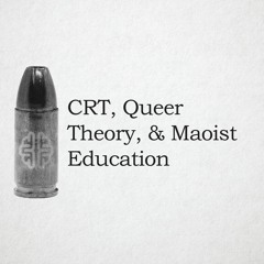 Critical Race Theory, Queer Theory, & Maoist Education | New Discourses Bullets, Ep. 4