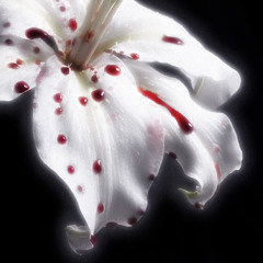 Blood et Beauty⟡༉ - Fairy Therapy & amaïa li