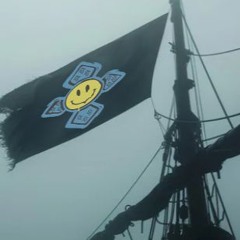 L'acidcore des pirates