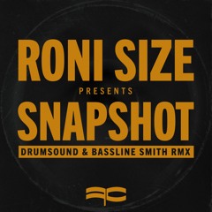 Stream ronisize music | Listen to songs, albums, playlists for