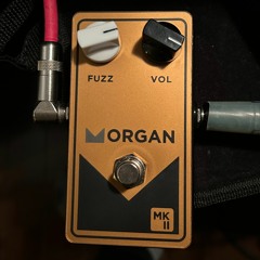 Morgan Amp MK2 FUZZ  88strat