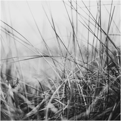 Sten Roosvald - Joogaruum 9.0 (01.11.2020)