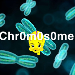 Chromosome