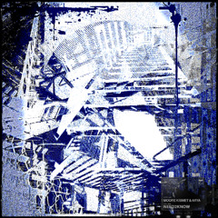 Moore Kismet & Arya - need2know