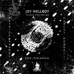 EXCLUSIVE: Joy Wellboy - Dreams Stay Dreams (Marcus Worgull Remix) [Fayer]