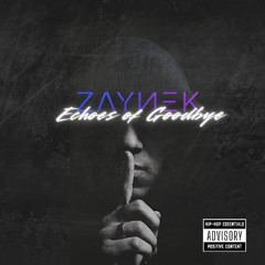 ZAYNEK - Echoes of Goodbye