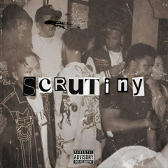 CEO Trayle - Scrutiny