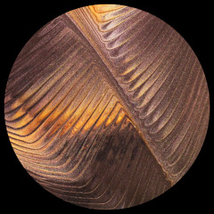 Sideral Tapes - Sideral Tapes #3 EP (Tremsix)