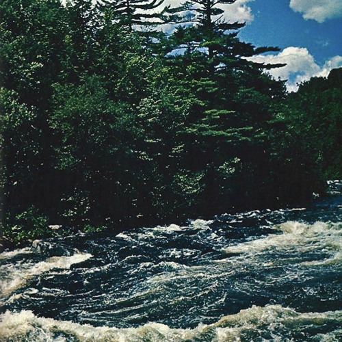 사랑하는거는사랑하는거라사랑하는거에요