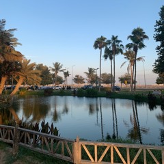 تلاوة لسورة نوح للشيخ د.عبدالله الجهني فجر الخميس ١٩-٥-١٤٤٣هـ