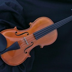 String Quartet Allegro ii Bm