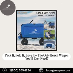 How to Choose the Perfect Wagon for Beach Adventures