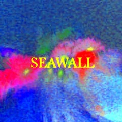 Neev - Seawall (Nebru Remix)