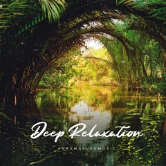 Deep Relaxation - Meditation Background Music For Videos, Yoga, Spa, Podcasts (DOWNLOAD MP3)