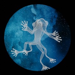Gradient - Space Frogs